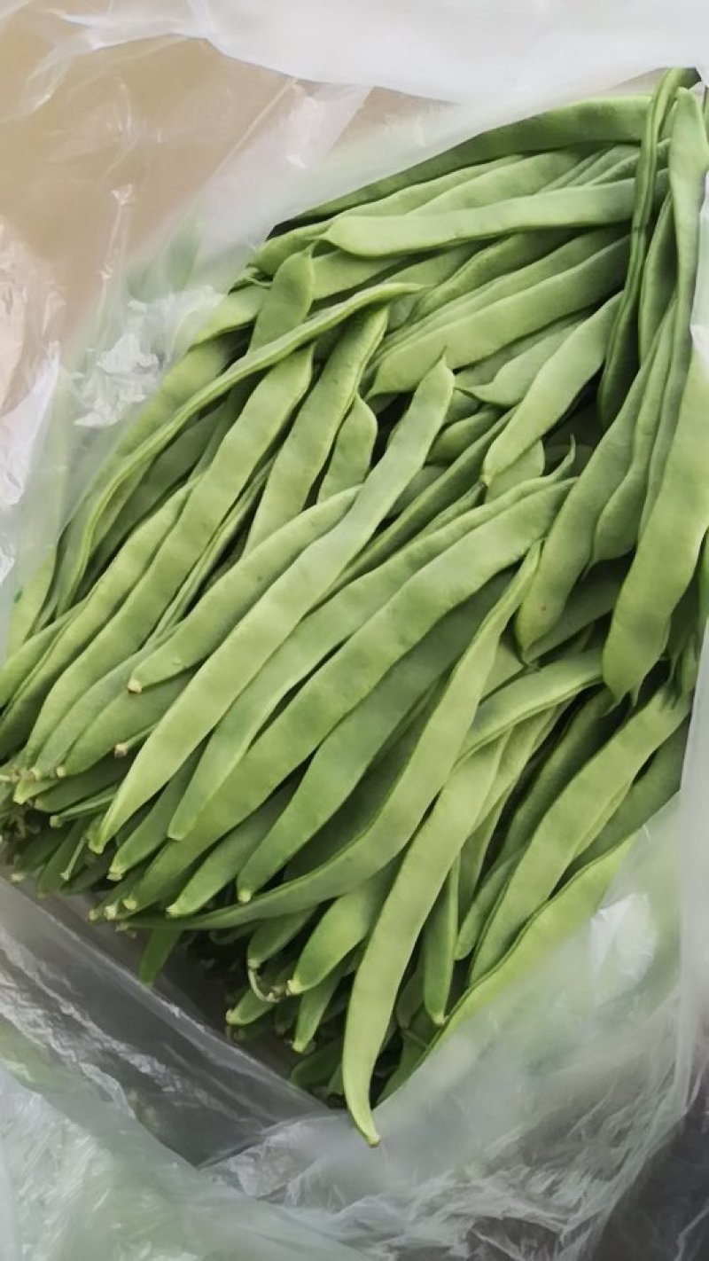 【推荐】大量供应芸豆，诚信经营，欢迎咨询，进店选购。