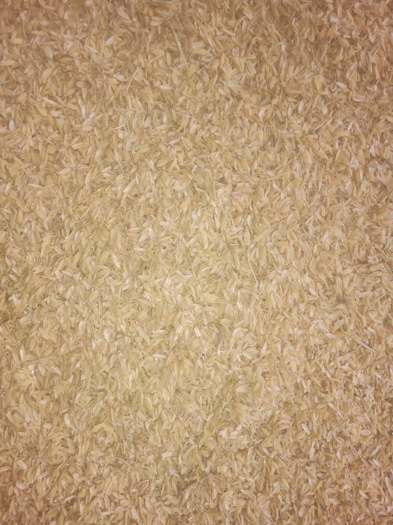 稻壳大量现货，长期供应。