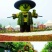 定制绿雕五色草植物绿雕动物绿雕工艺品五色草雕塑绿雕大型