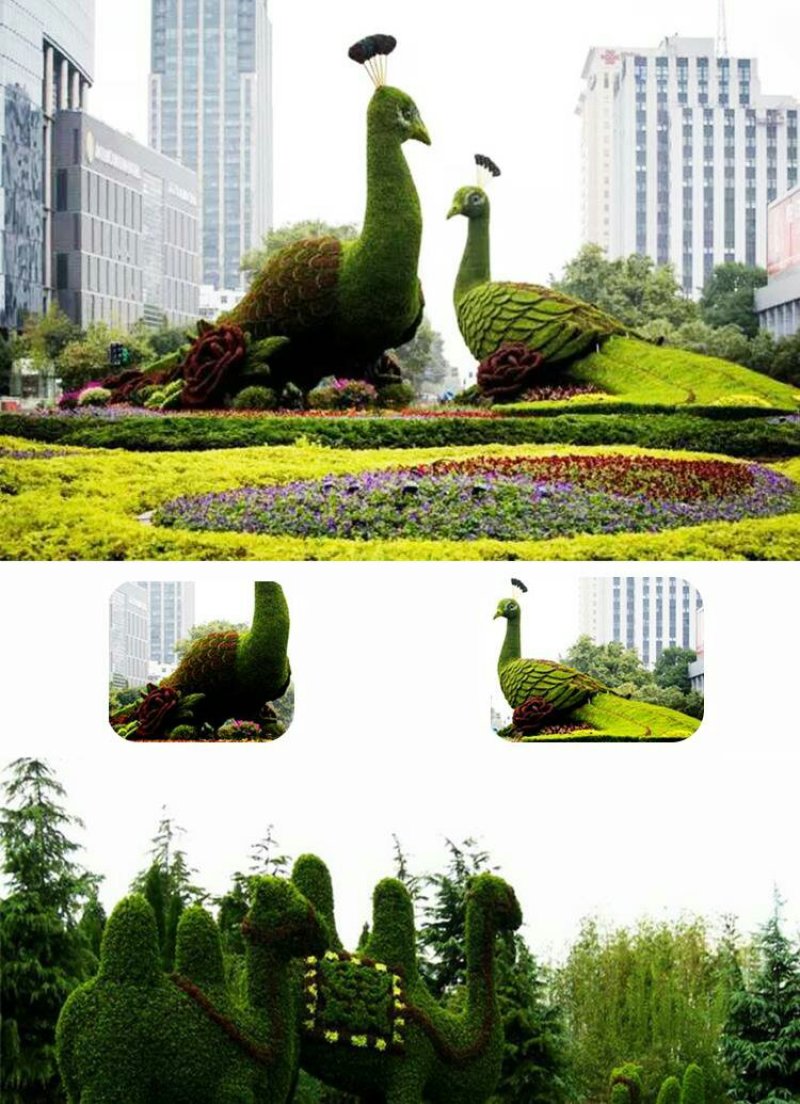 定制绿雕五色草植物绿雕动物绿雕工艺品五色草雕塑绿雕大型
