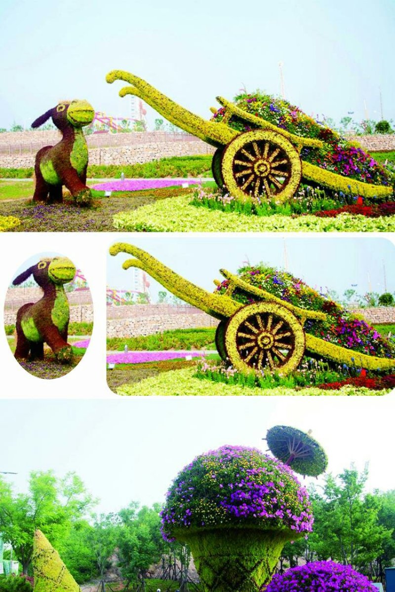 定制绿雕五色草植物绿雕动物绿雕工艺品五色草雕塑绿雕大型