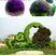 定制绿雕五色草植物绿雕动物绿雕工艺品五色草雕塑绿雕大型