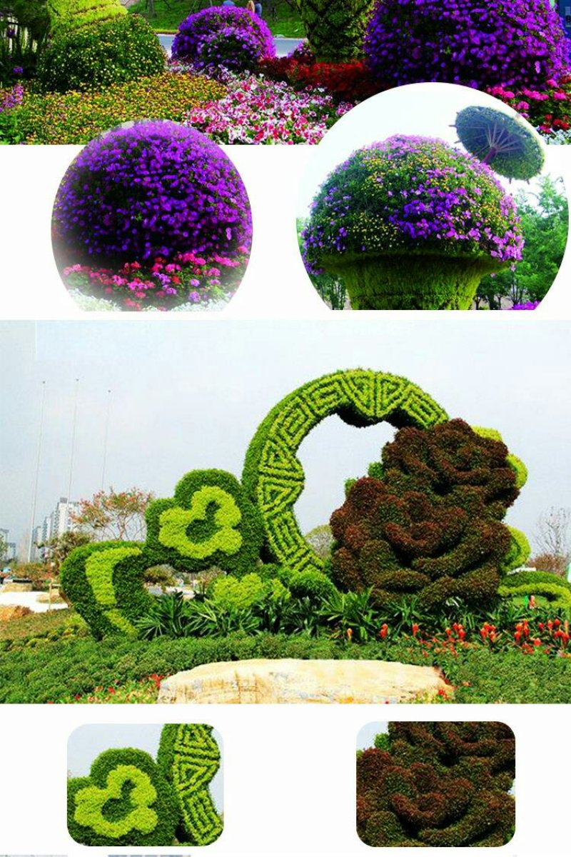 定制绿雕五色草植物绿雕动物绿雕工艺品五色草雕塑绿雕大型
