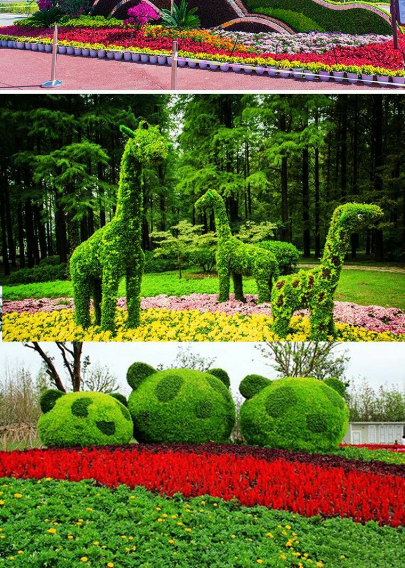 定制绿雕五色草植物绿雕动物绿雕工艺品五色草雕塑绿雕大型