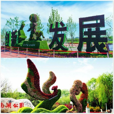 定制绿雕五色草植物绿雕动物绿雕工艺品五色草雕塑绿雕大型