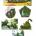 定制绿雕五色草植物绿雕动物绿雕工艺品五色草雕塑绿雕大型