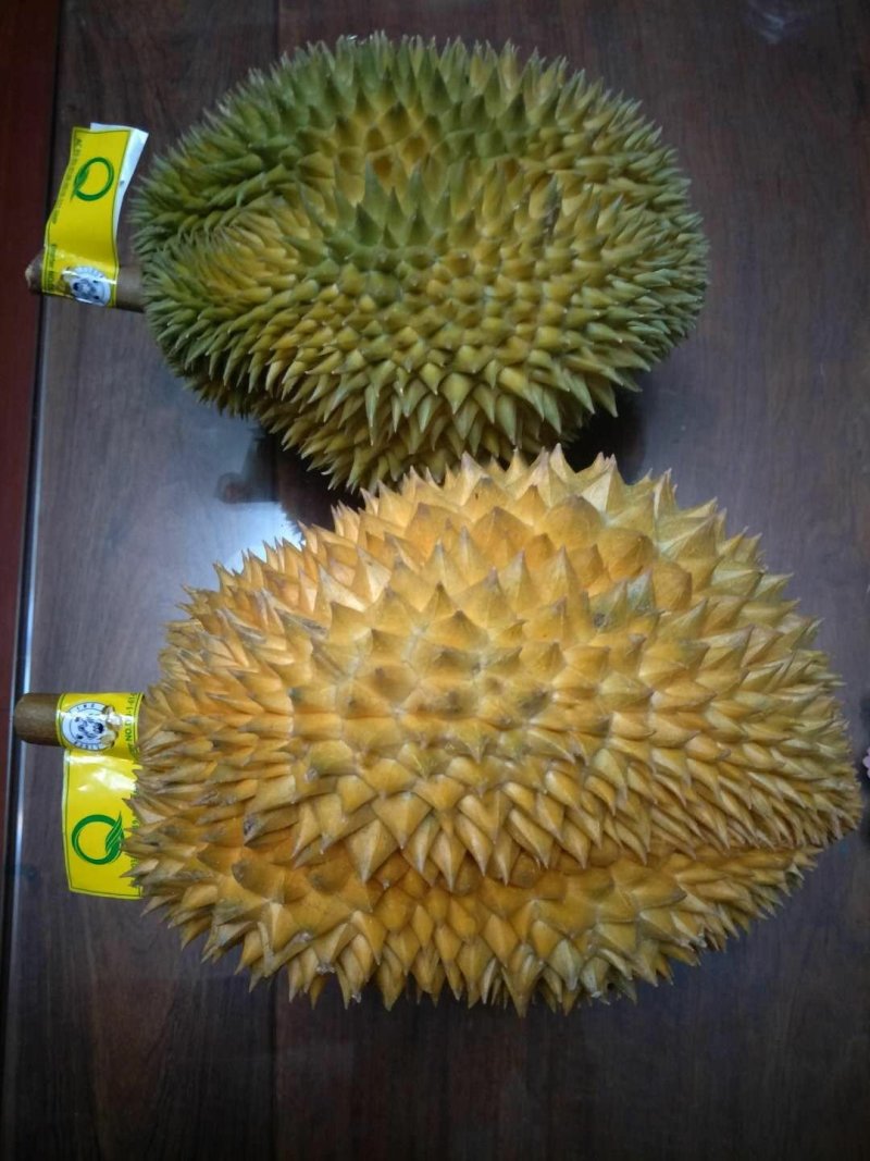 芒果，榴莲，山竹