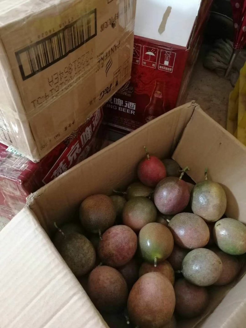 百香果，基地直发，支持全国各地微商，座子代发