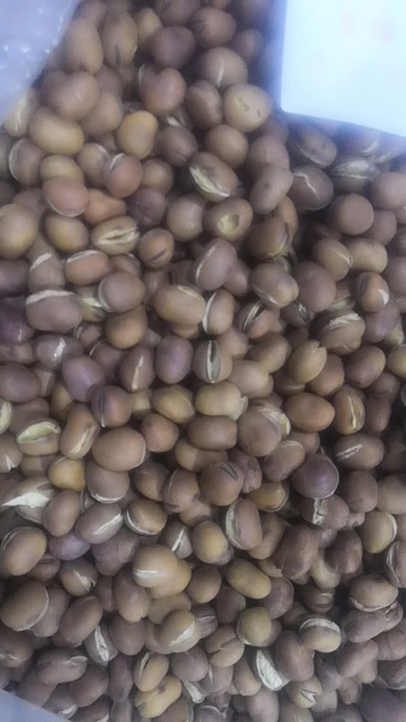 小蚕豆