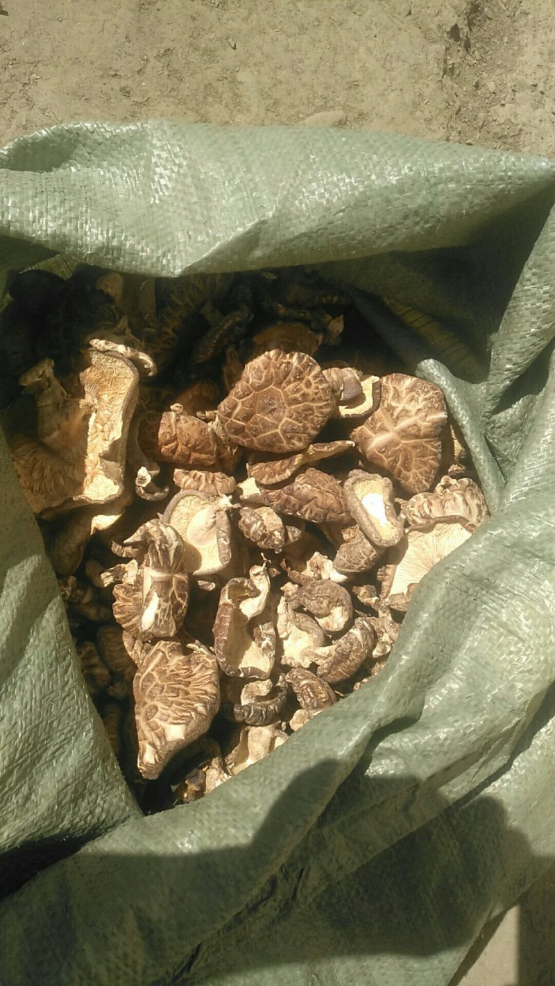 原生态传统木棒香菇