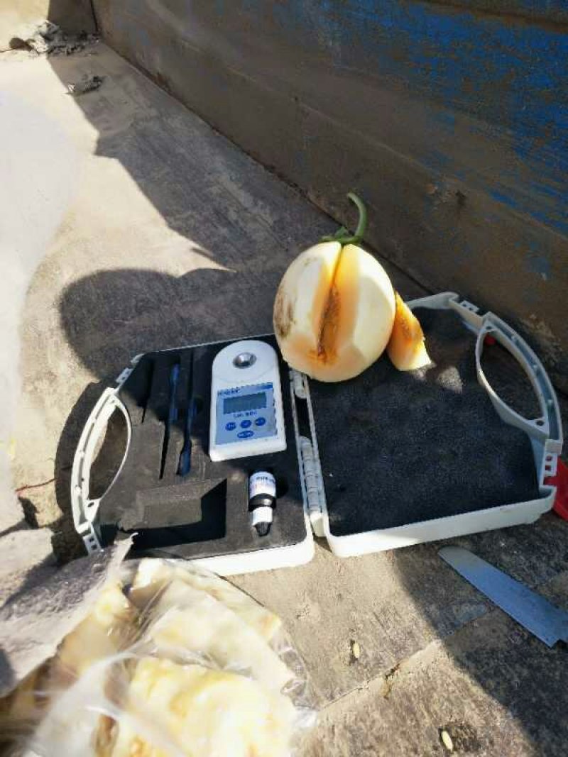 供应，翠梨，红玉