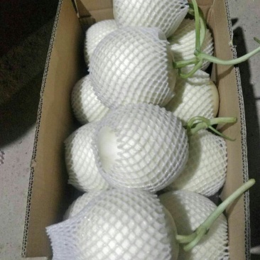 供应，翠梨，红玉
