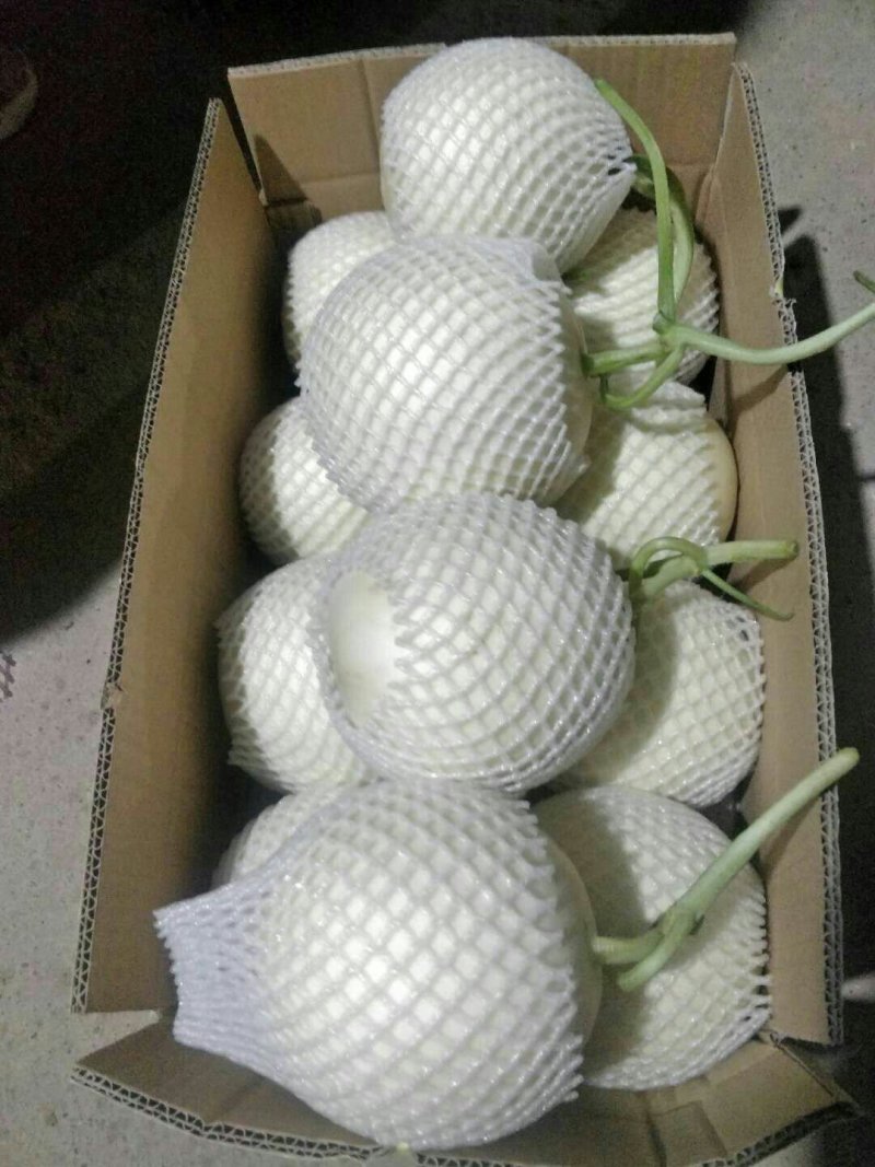 供应，翠梨，红玉
