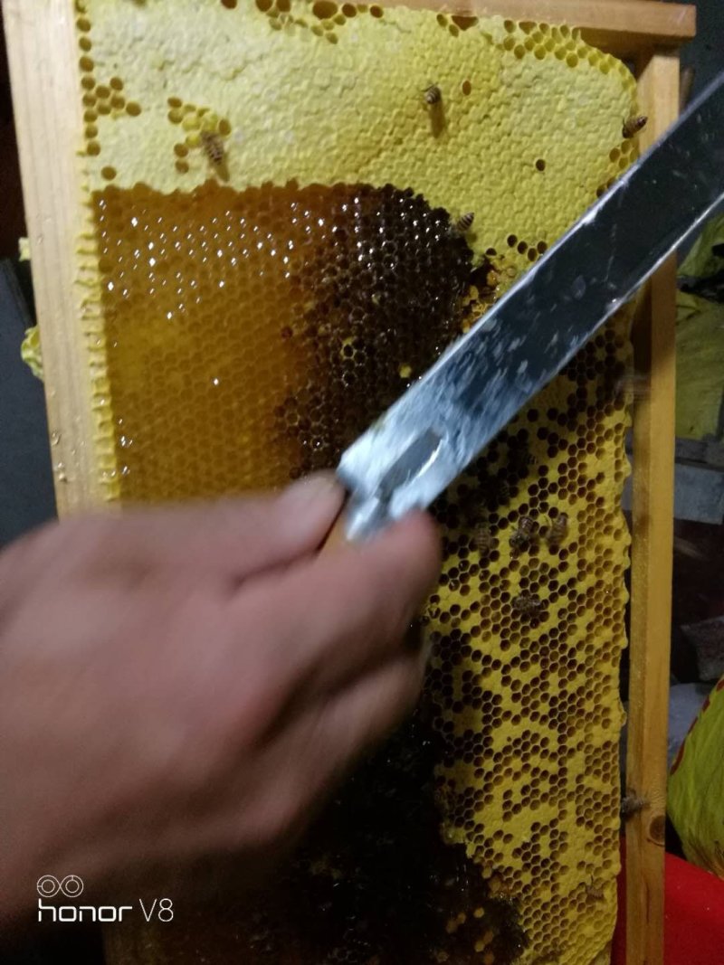 出售土蜂蜜