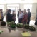 美国9408红薯苗大量供应欢迎下单极速发货