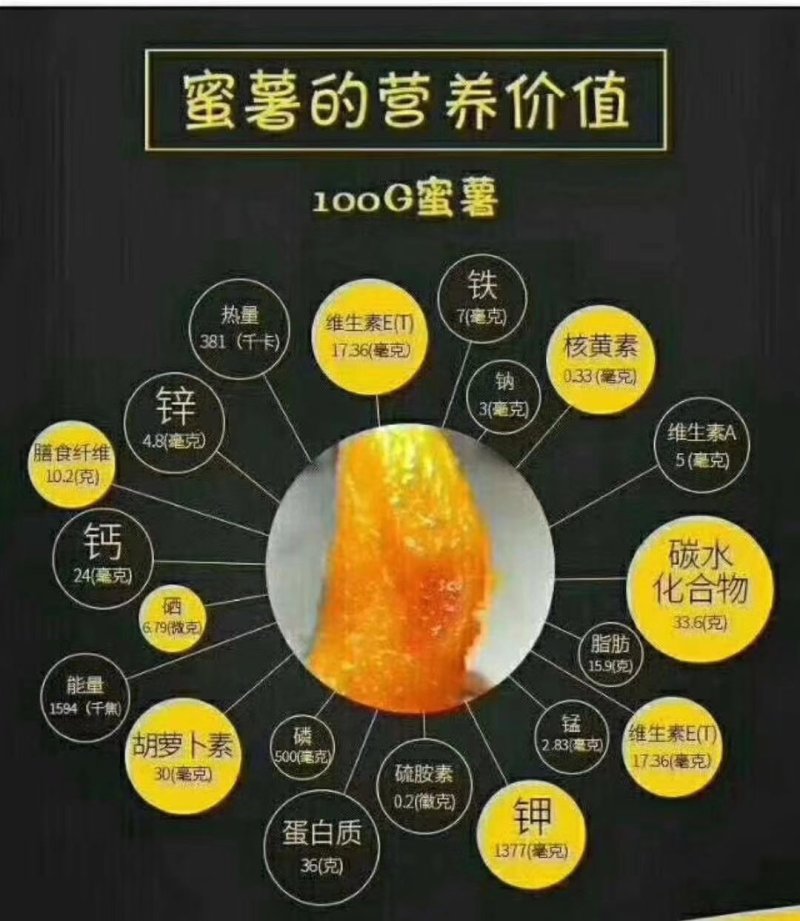 美国9408红薯苗大量供应欢迎下单极速发货