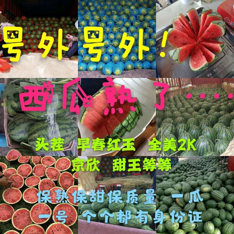 早春红玉西瓜一亩田最有诚信的保证商家，质量能保证！