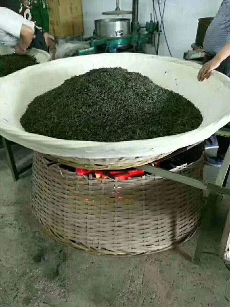 金寨高山野生茶翠眉，温差大出好茶