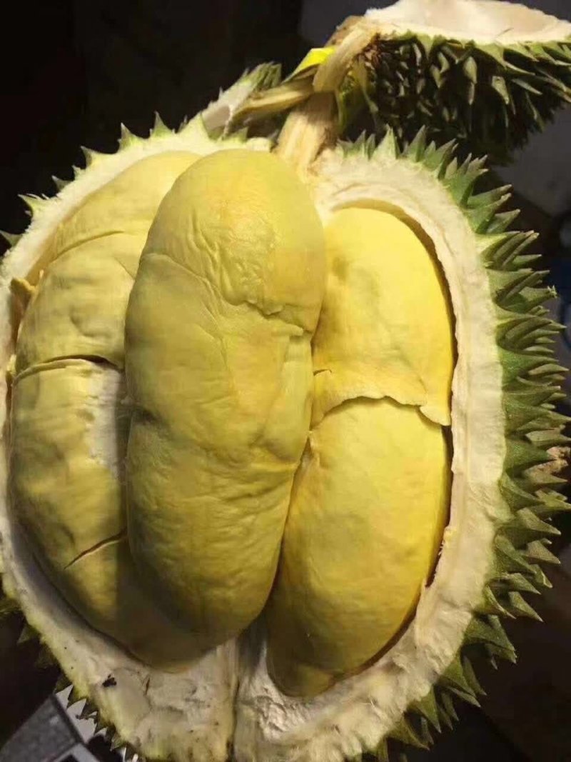 泰国金枕榴莲
