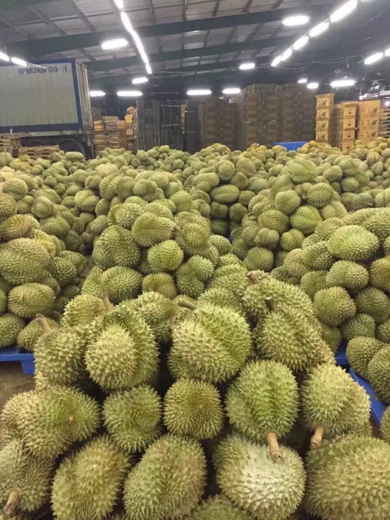 泰国金枕榴莲
