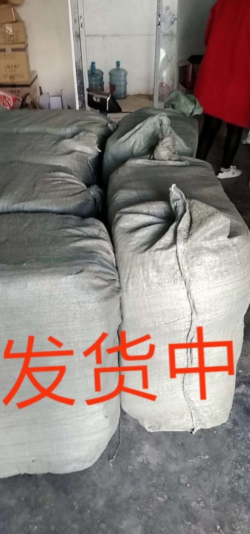 蒲公英全棵。批发零售精品水洗产地一手货源