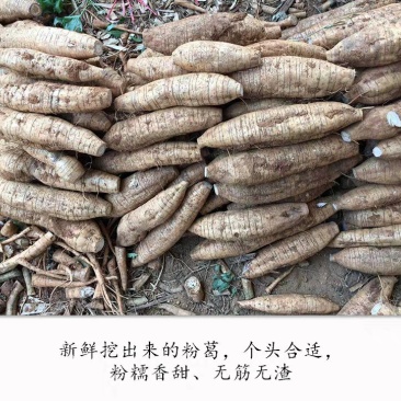 葛根无渣甜粉葛