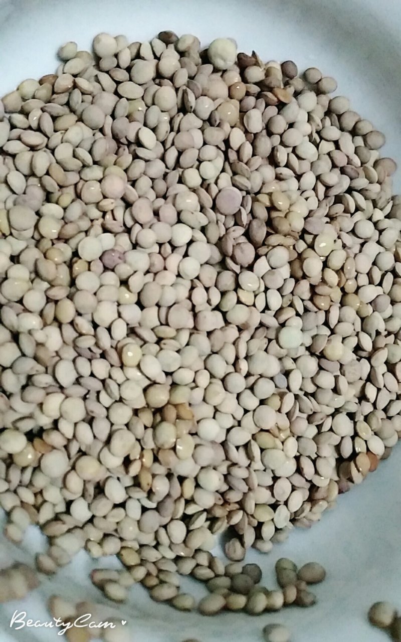 扁豆
