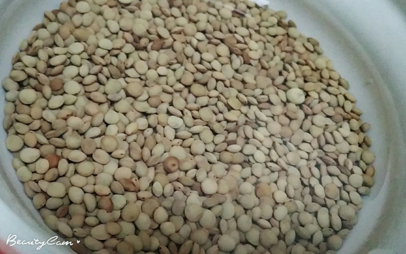扁豆
