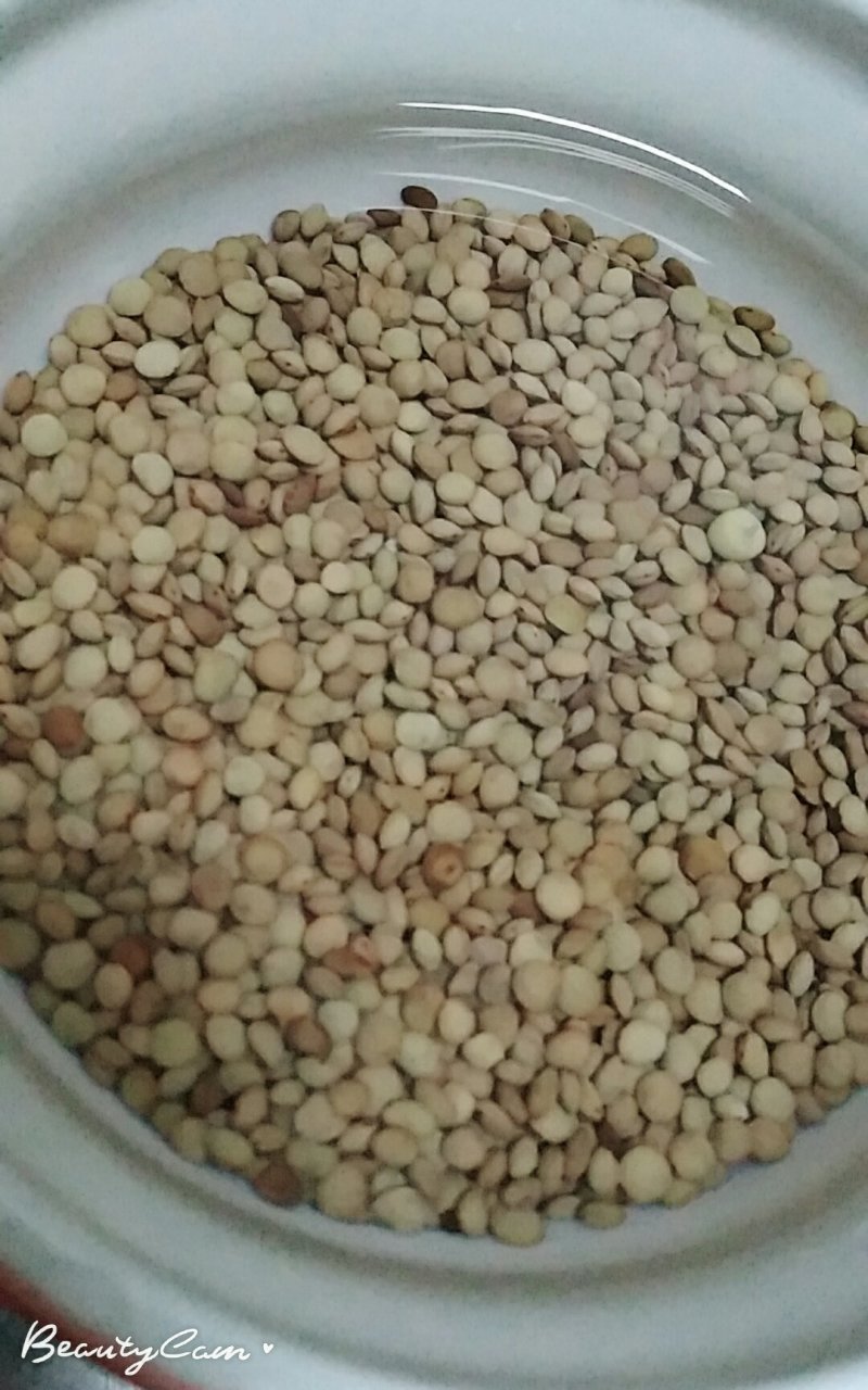 扁豆