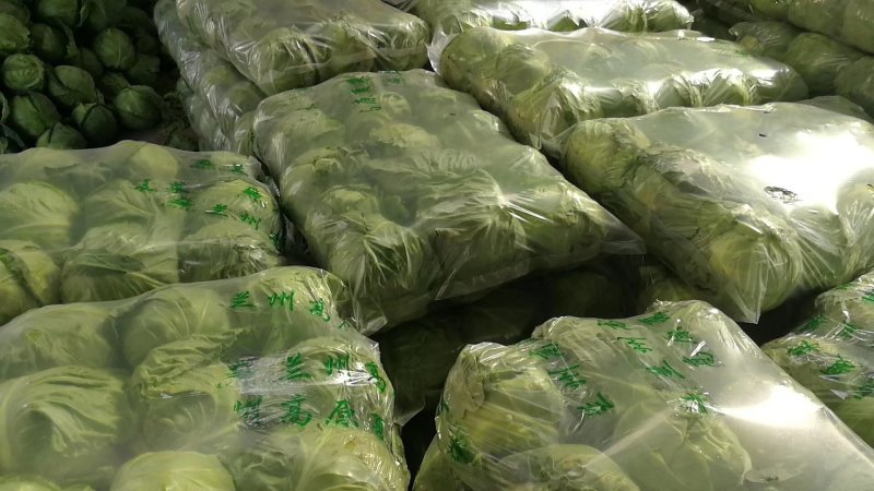 甘蓝，品种多，货源充足，绿翠源果蔬专业合作社