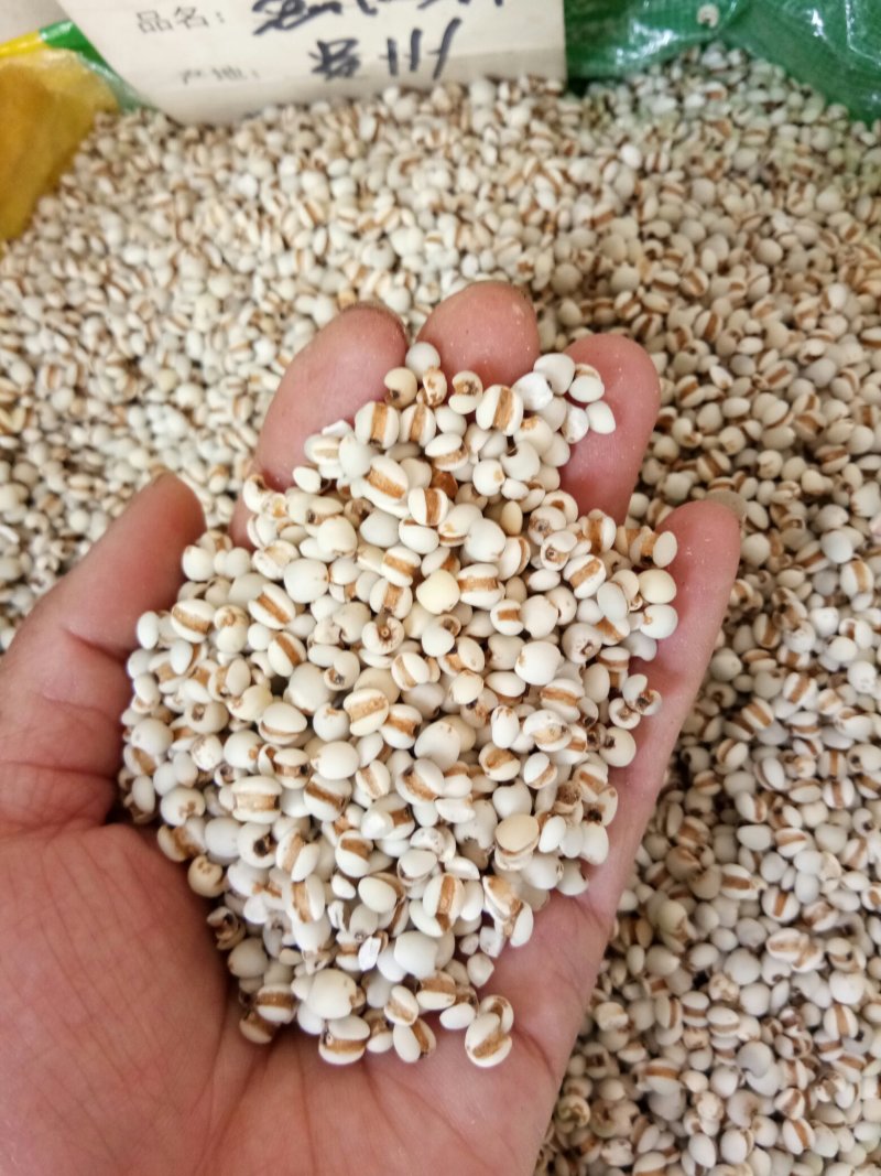 薏米正品无硫贵州薏米小粒薏米一公斤起发货