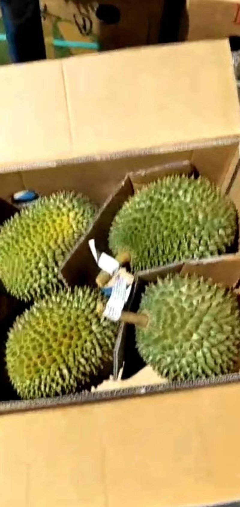 泰国托曼尼榴莲产地一手货源批发商直销代办