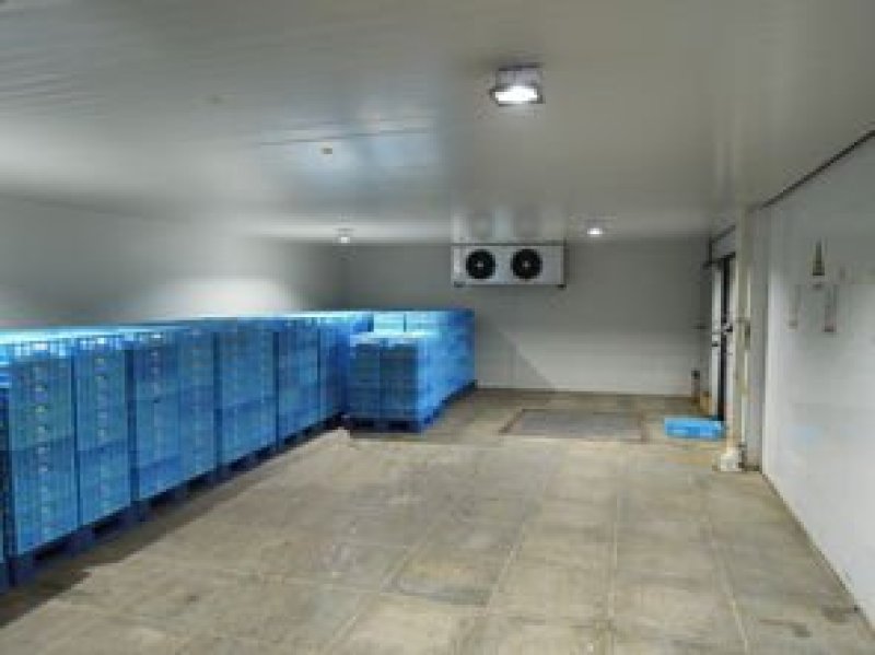清新清西公路冷库临街保鲜库租10元/方/月