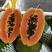 🔥🔥🔥夏威夷大青水果木瓜，泰国黄金木瓜