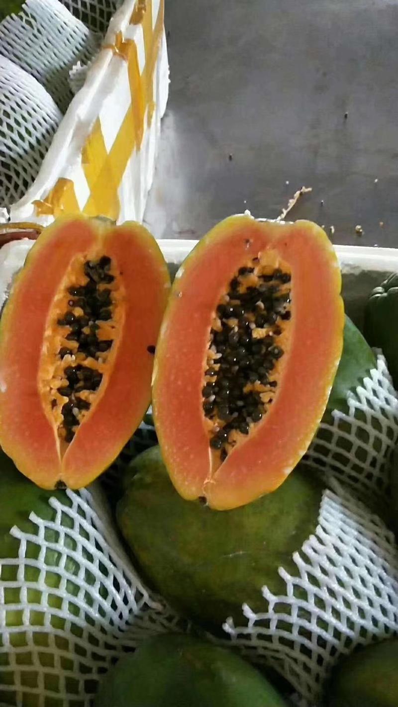 🔥🔥🔥夏威夷大青水果木瓜，泰国黄金木瓜
