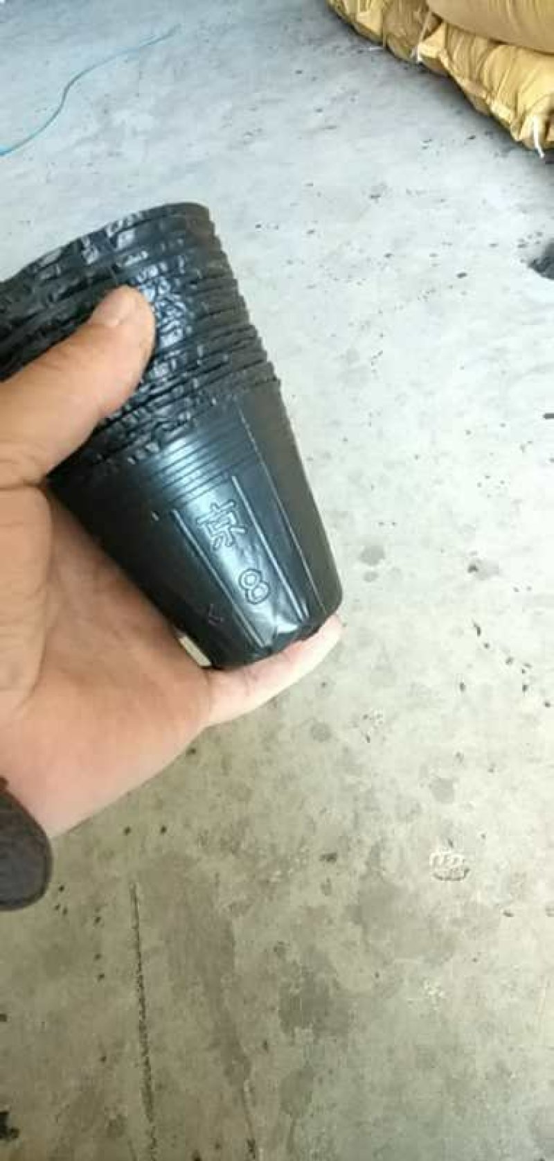 营养杯育苗杯花盆营养钵柑橘杯树苗杯