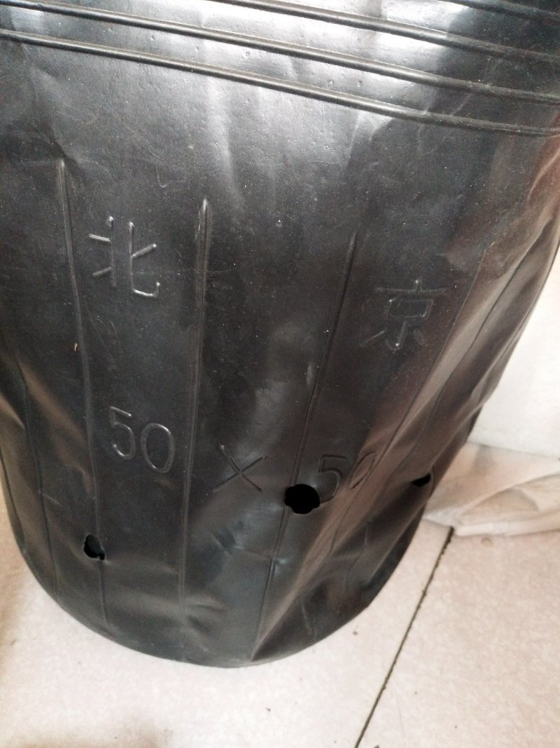 营养杯育苗杯花盆营养钵柑橘杯树苗杯