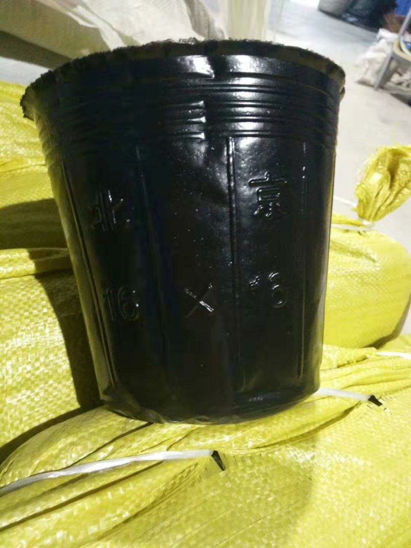 营养杯育苗杯花盆营养钵柑橘杯树苗杯