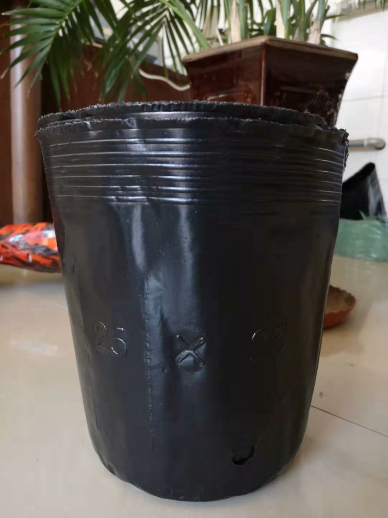 营养杯育苗杯花盆营养钵柑橘杯树苗杯
