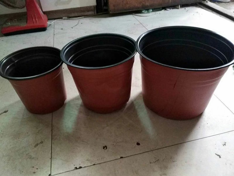 花盆，双色盆，一次性花盆