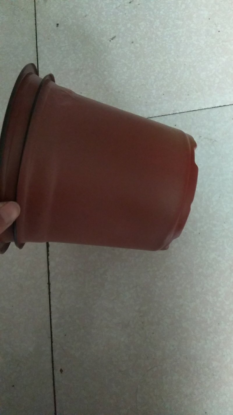 花盆，双色盆，一次性花盆