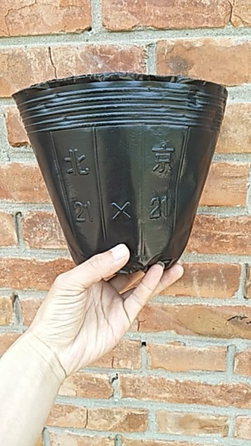 营养杯育苗杯仿瓷塑料花盆营养钵