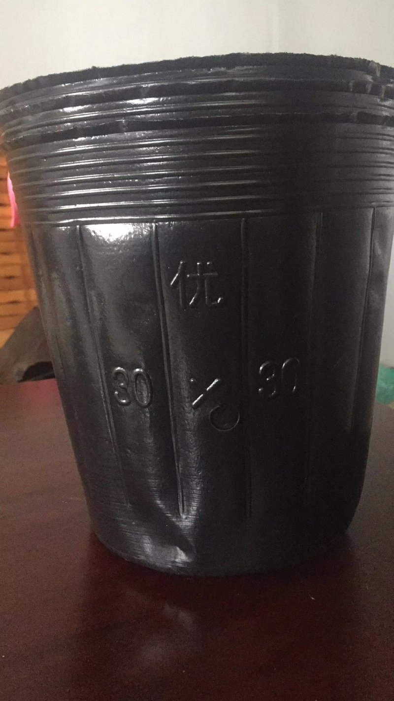 营养杯育苗杯仿瓷塑料花盆营养钵