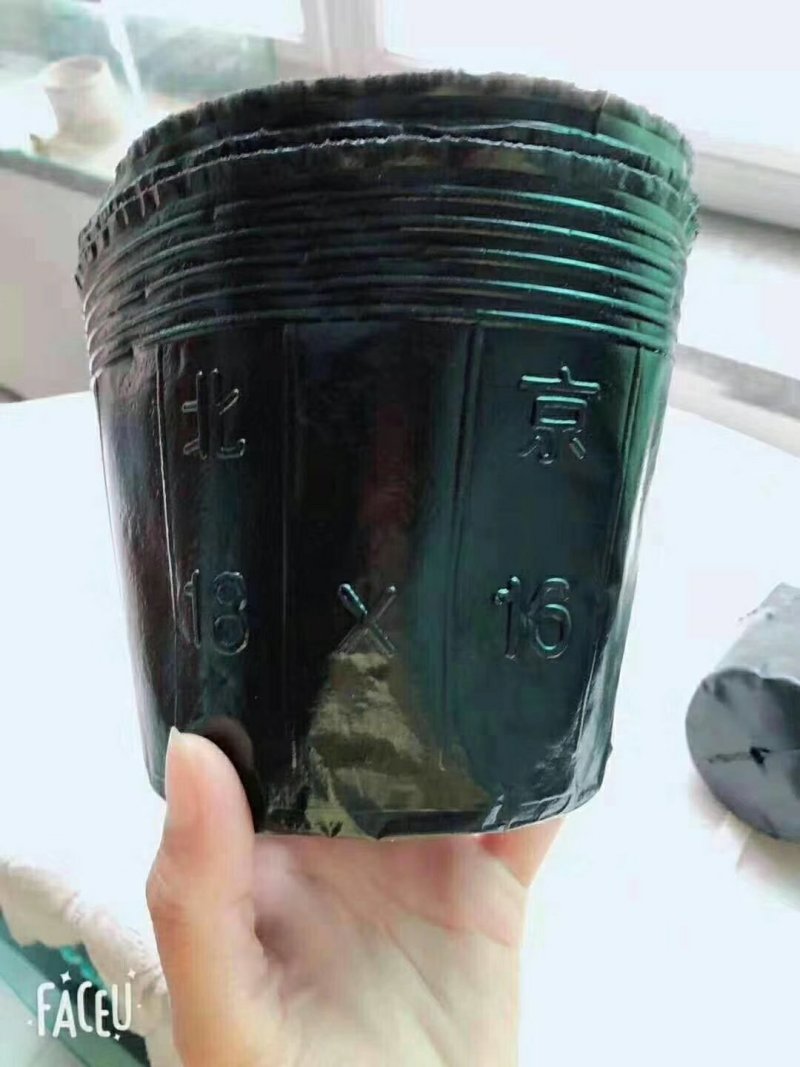 营养杯营养钵育苗盆，树苗杯