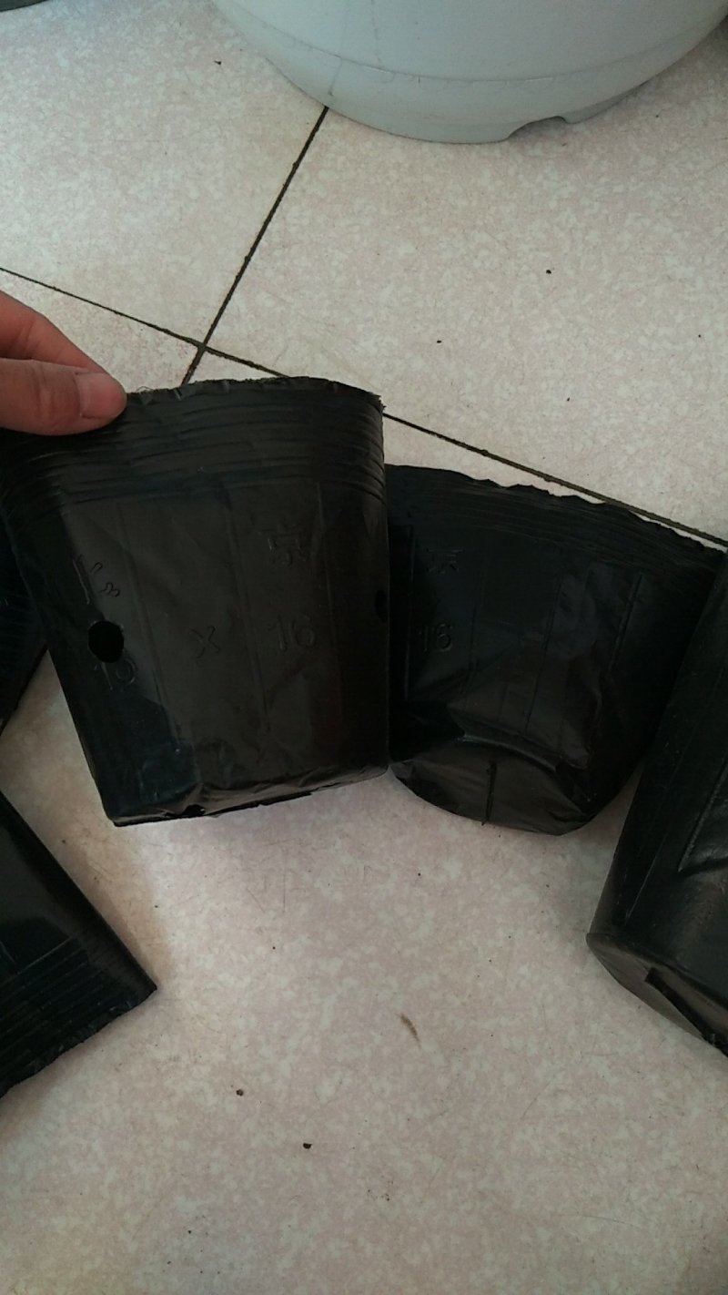 营养杯营养钵育苗盆，树苗杯