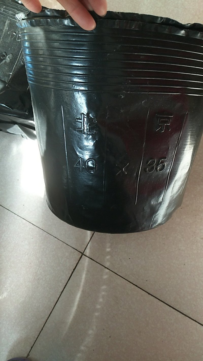 营养杯营养钵育苗盆，树苗杯