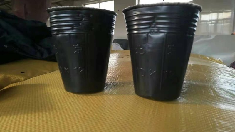 营养杯营养钵育苗盆，树苗杯