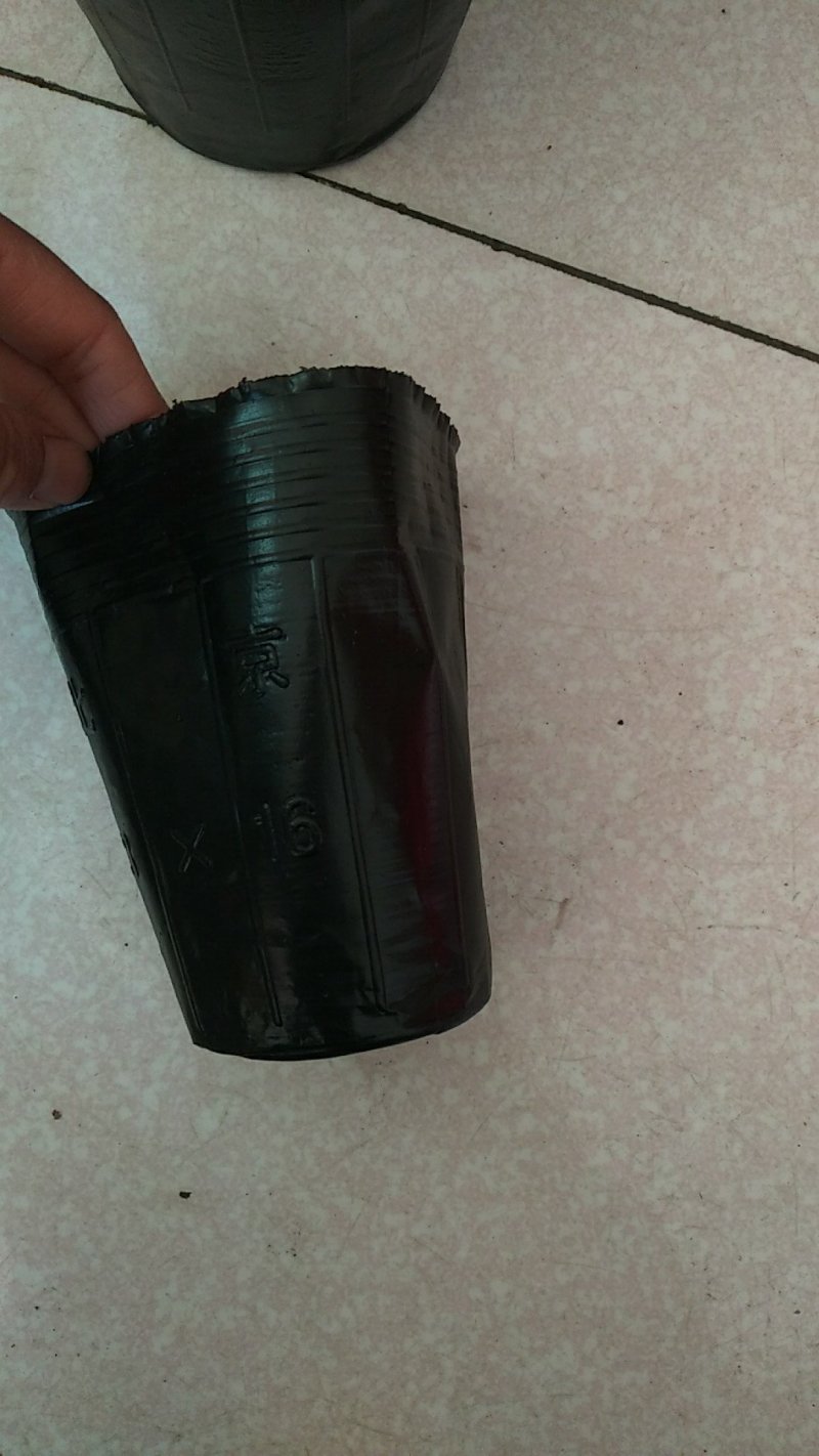 营养杯营养钵育苗盆，树苗杯