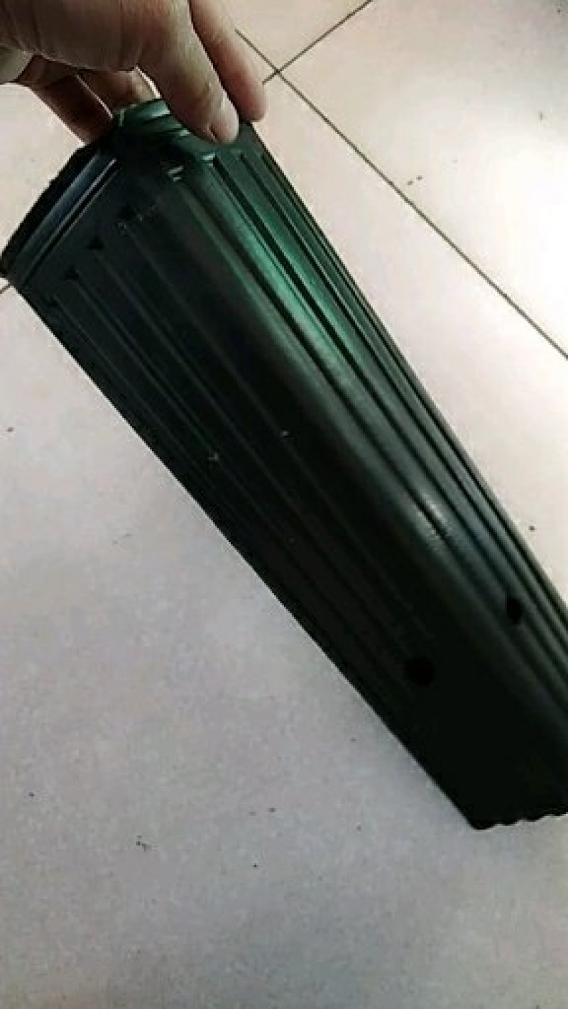 柑橘专用营养杯方杯柑橘杯量身定做的好产品质量超好