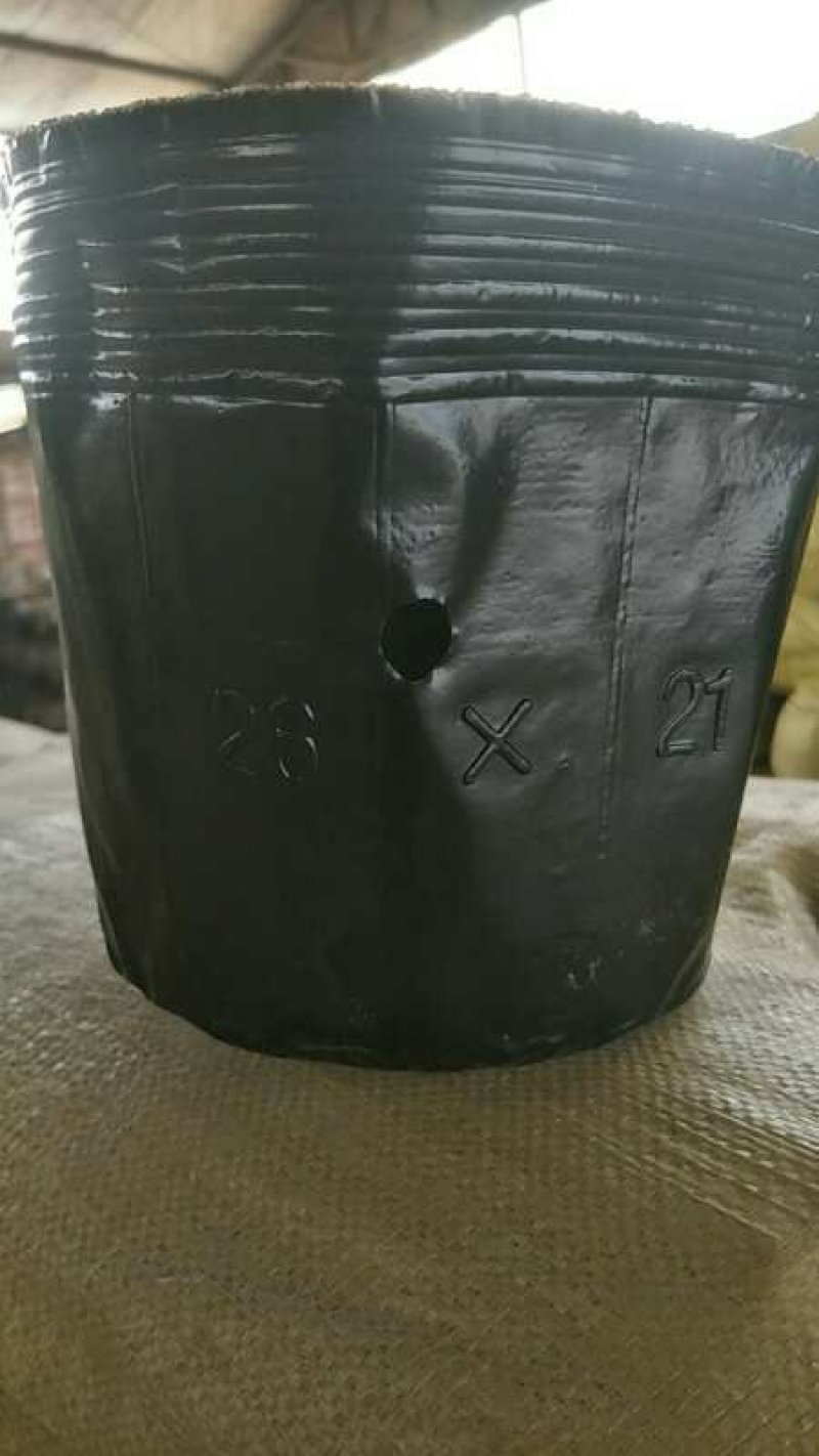 营养钵营养杯育苗杯仿瓷塑料花盆营养钵
